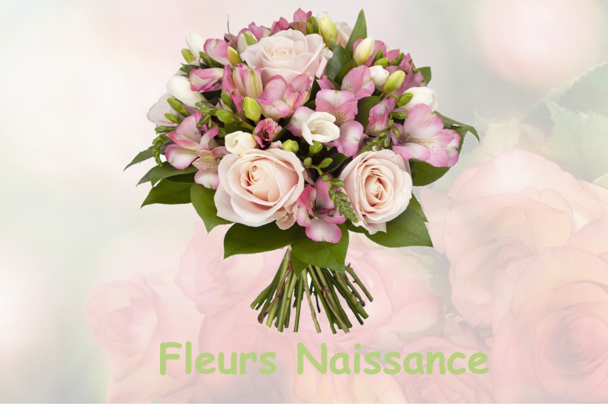 fleurs naissance LA-NEUVILLE-AUX-LARRIS