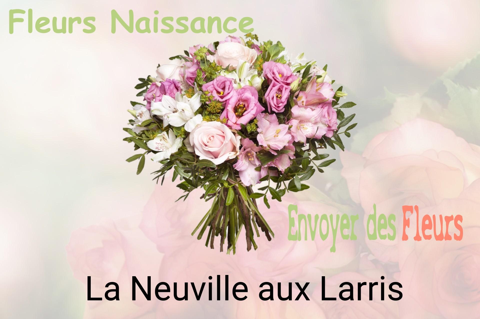 Bouquet de fleurs de naissance livré à La Neuville-aux-Larris