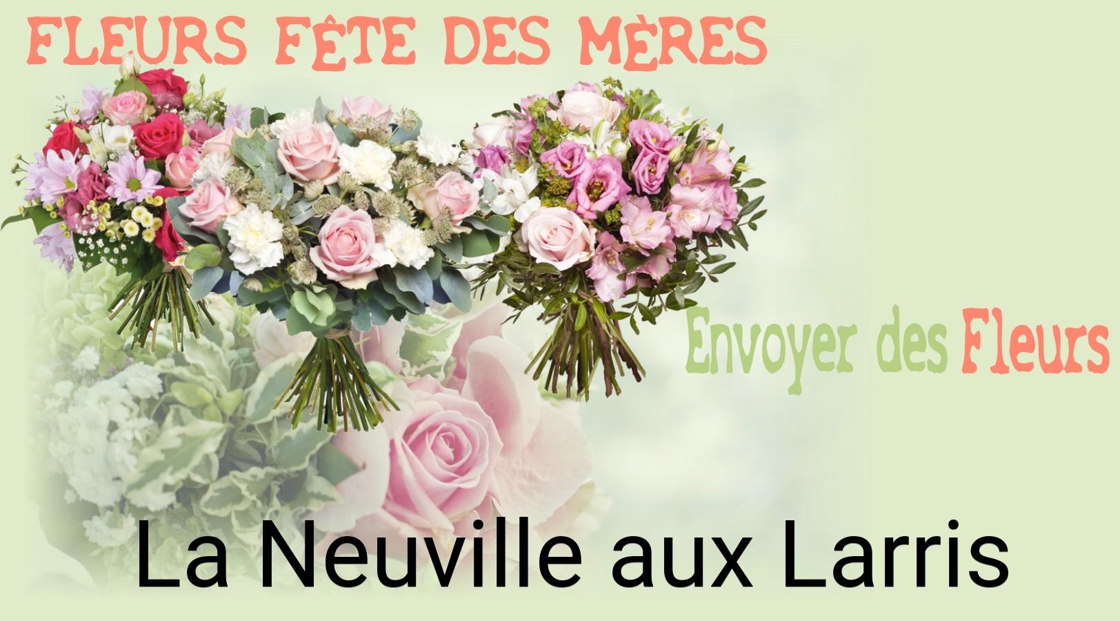 Bouquet de Fête des Mères livré à La Neuville-aux-Larris